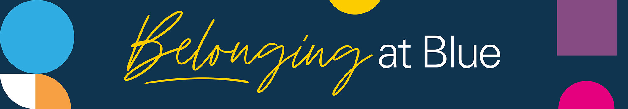 Diversity, Equity and Inclusion. Belonging at Blue.