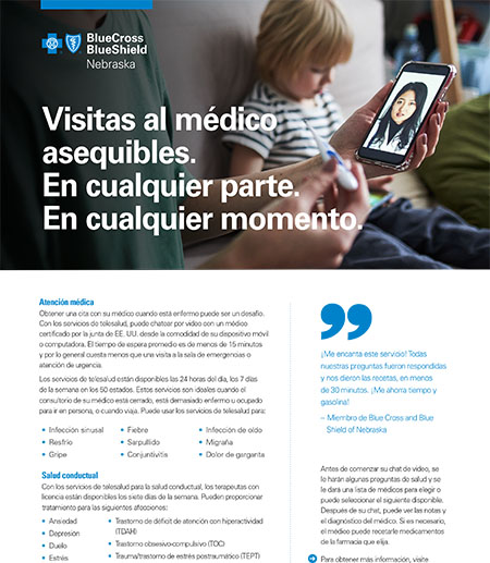 Telehealth Flier SP
