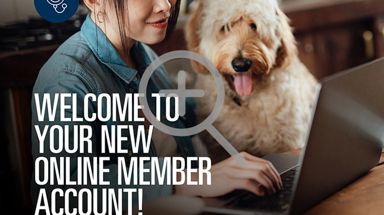 MyBlue No Pharmacy Member Flier