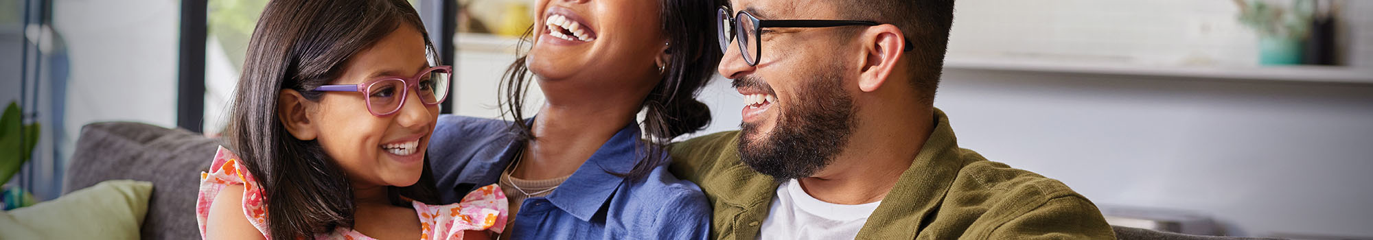 BlueDental and BlueVision Member Contracts