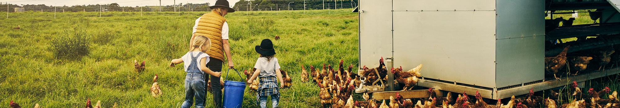 Female farmer and her two kids working on their chicken farm