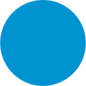 Primary BCBS Blue