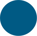 Secondary BCBS Medium Blue
